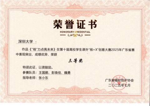 核+X创意大赛 · 三等奖