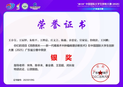 中国国际“互联网+”创新创业大赛 · 银奖