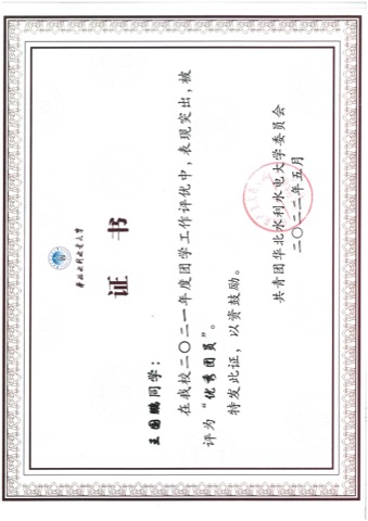 优秀共青团员
